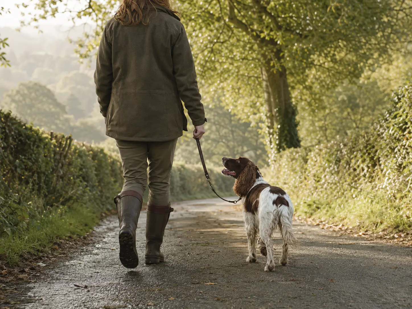 A professional pet carer walking a Springer Spaniel on a quiet country lane